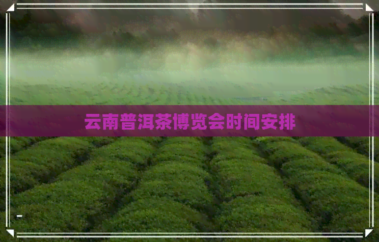 云南普洱茶博览会时间安排