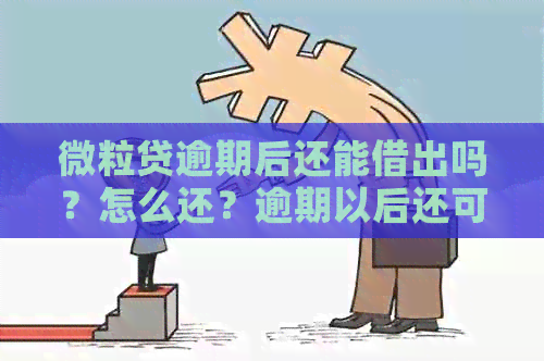 微粒贷逾期后还能借出吗？怎么还？逾期以后还可以使用吗？