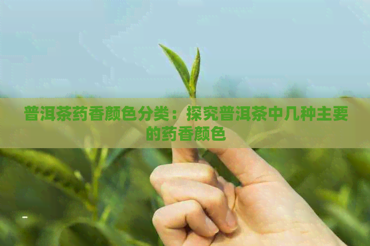 普洱茶药香颜色分类：探究普洱茶中几种主要的药香颜色