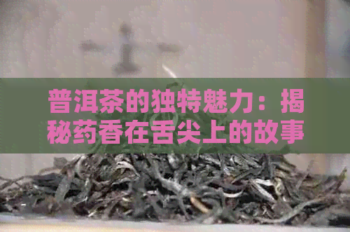 普洱茶的独特魅力：揭秘药香在舌尖上的故事