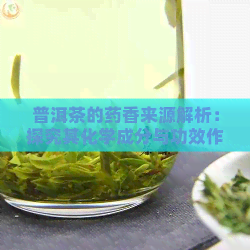 普洱茶的药香来源解析：探究其化学成分与功效作用