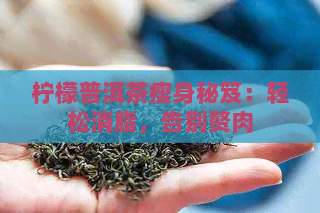 柠檬普洱茶瘦身秘笈：轻松消脂，告别赘肉