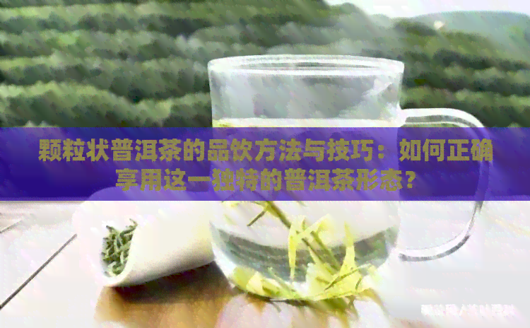 颗粒状普洱茶的品饮方法与技巧：如何正确享用这一独特的普洱茶形态？