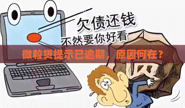 微粒贷提示已逾期，原因何在？