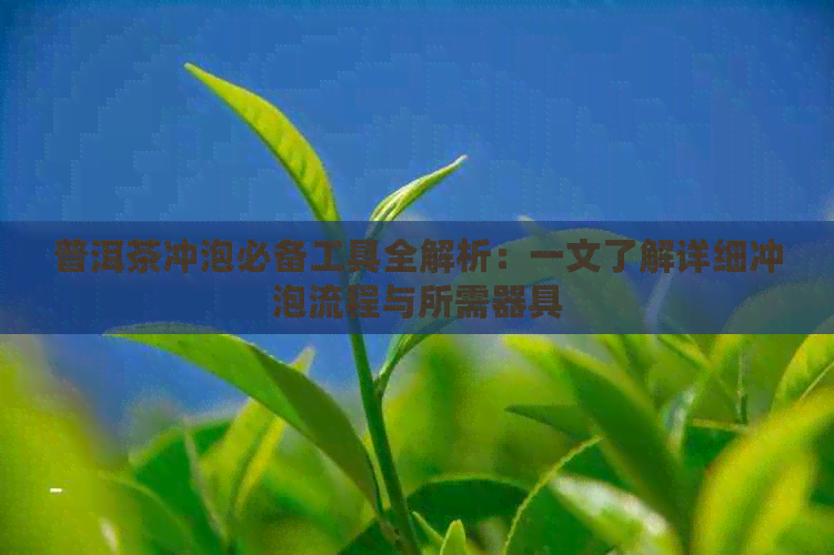 普洱茶冲泡必备工具全解析：一文了解详细冲泡流程与所需器具