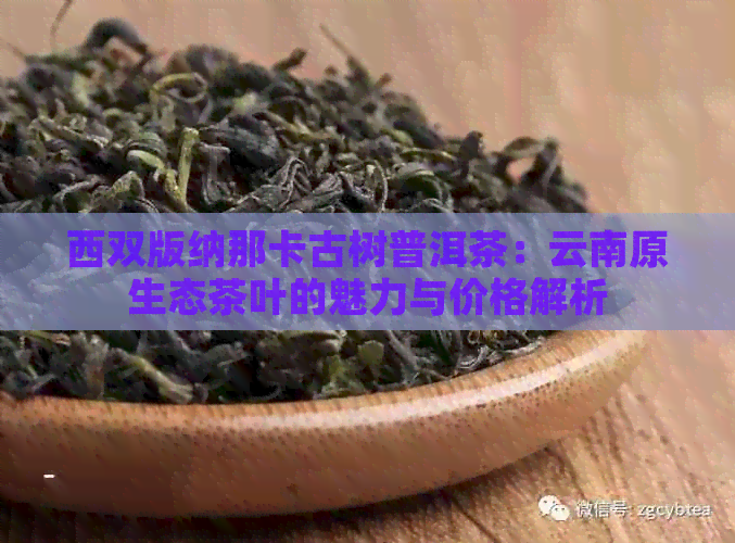 西双版纳那卡古树普洱茶：云南原生态茶叶的魅力与价格解析