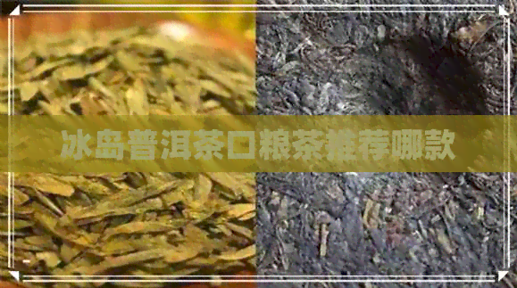 冰岛普洱茶口粮茶推荐哪款