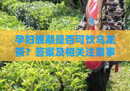 孕妇晚期是否可饮乌龙茶？答案及相关注意事项一文解析