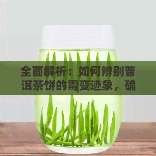 全面解析：如何辨别普洱茶饼的霉变迹象，确保购买无风险的好茶