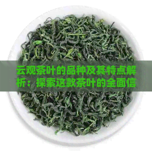 云观茶叶的品种及其特点解析：探索这款茶叶的全面信息