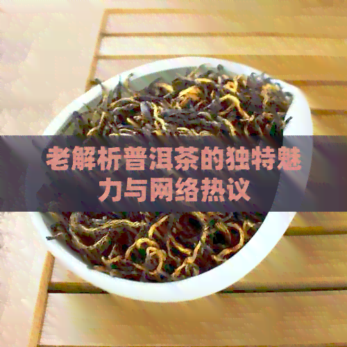 老解析普洱茶的独特魅力与网络热议