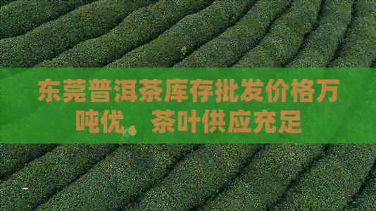 东莞普洱茶库存批发价格万吨优，茶叶供应充足