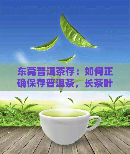 东莞普洱茶存：如何正确保存普洱茶，长茶叶寿命，品鉴口感？