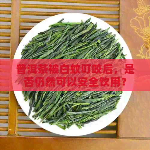 普洱茶被白蚊叮咬后，是否仍然可以安全饮用？