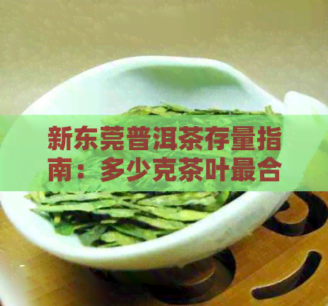 新东莞普洱茶存量指南：多少克茶叶最合适？