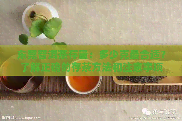 东莞普洱茶存量：多少克最合适？了解正确的存茶方法和注意事项