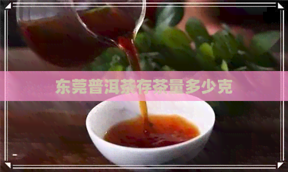 东莞普洱茶存茶量多少克