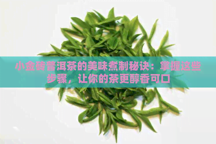 小金砖普洱茶的美味煮制秘诀：掌握这些步骤，让你的茶更醇香可口