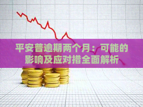 平安普逾期两个月：可能的影响及应对措全面解析