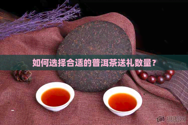 如何选择合适的普洱茶送礼数量？