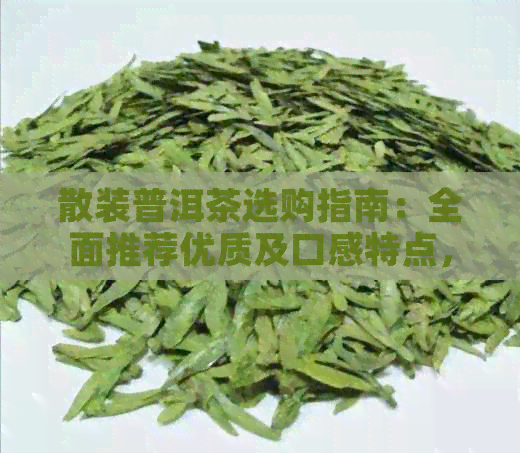 散装普洱茶选购指南：全面推荐优质及口感特点，助你轻松找到心仪之选