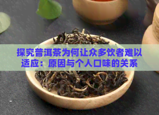 探究普洱茶为何让众多饮者难以适应：原因与个人口味的关系