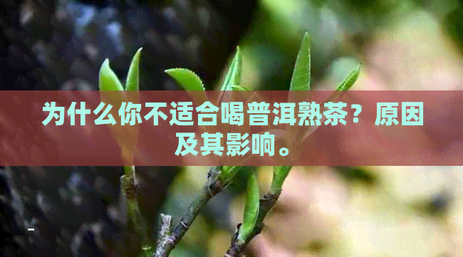 为什么你不适合喝普洱熟茶？原因及其影响。