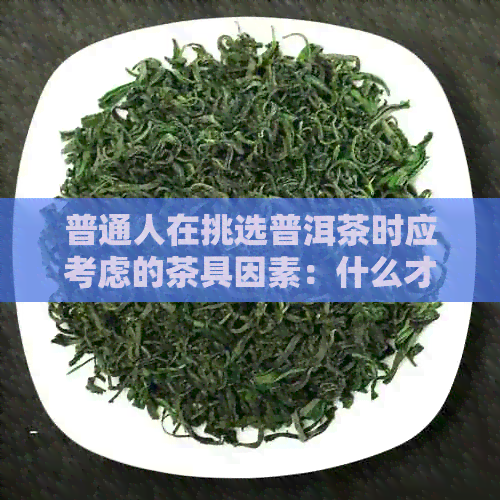 普通人在挑选普洱茶时应考虑的茶具因素：什么才是真正的适合？