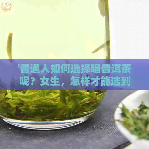 '普通人如何选择喝普洱茶呢？女生，怎样才能选到好喝的普洱茶？'