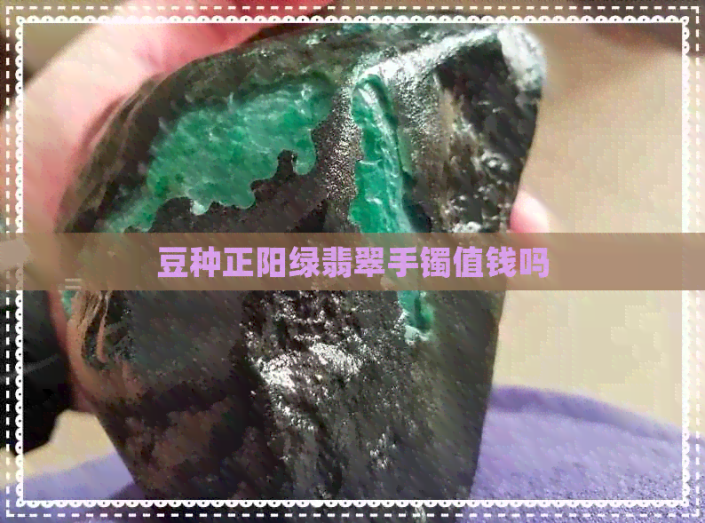 豆种正阳绿翡翠手镯值钱吗