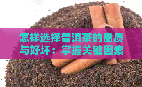 怎样选择普洱茶的品质与好坏：掌握关键因素