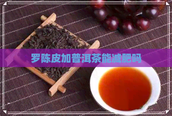 罗陈皮加普洱茶能减肥吗