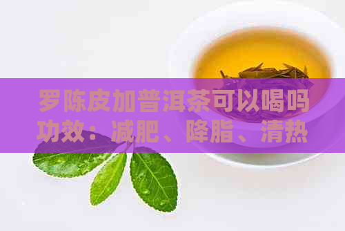 罗陈皮加普洱茶可以喝吗功效：减肥、降脂、清热解、消食化滞。