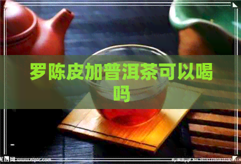 罗陈皮加普洱茶可以喝吗