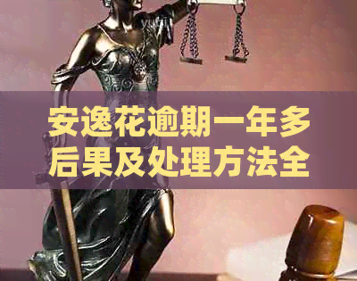 安逸花逾期一年多后果及处理方法全解析，解决您可能面临的种种疑问