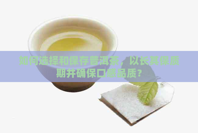 如何选择和保存普洱茶，以长其保质期并确保口感品质？