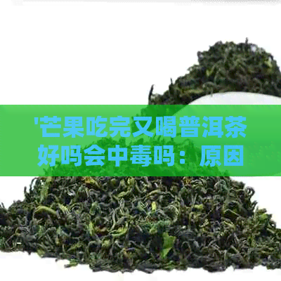 '芒果吃完又喝普洱茶好吗会中吗：原因与影响'