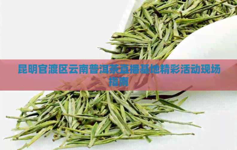 昆明官渡区云南普洱茶直播基地精彩活动现场指南