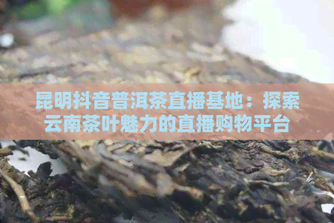 昆明抖音普洱茶直播基地：探索云南茶叶魅力的直播购物平台