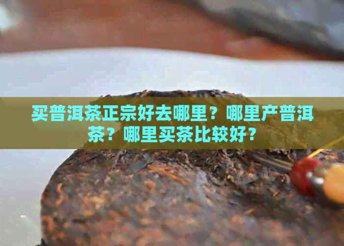 买普洱茶正宗好去哪里？哪里产普洱茶？哪里买茶比较好？