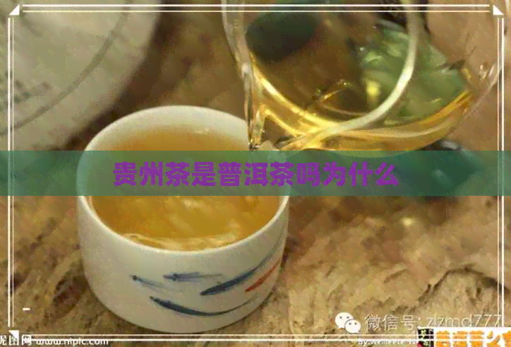 贵州茶是普洱茶吗为什么