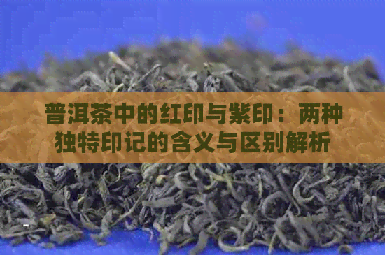 普洱茶中的红印与紫印：两种独特印记的含义与区别解析