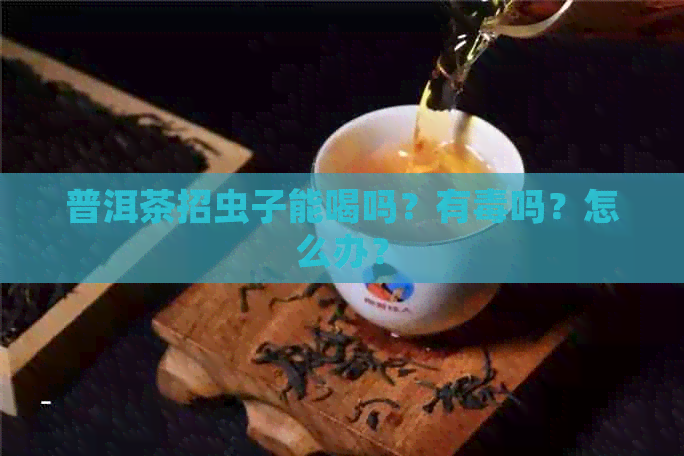 普洱茶招虫子能喝吗？有吗？怎么办？