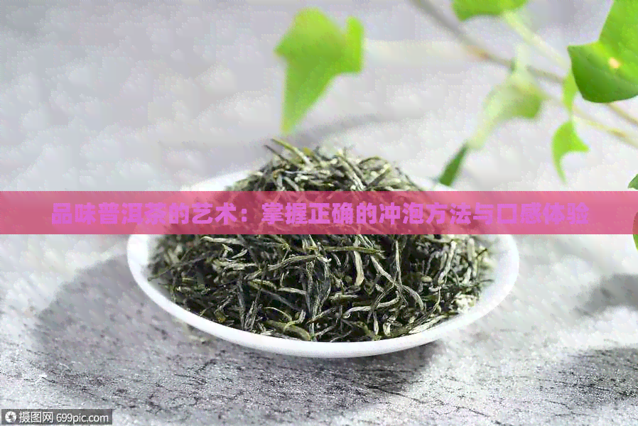 品味普洱茶的艺术：掌握正确的冲泡方法与口感体验