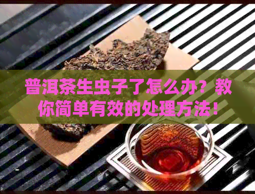 普洱茶生虫子了怎么办？教你简单有效的处理方法！