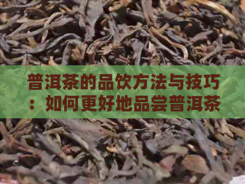 普洱茶的品饮方法与技巧：如何更好地品尝普洱茶？