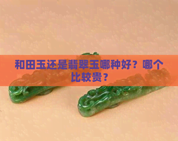 和田玉还是翡翠玉哪种好？哪个比较贵？