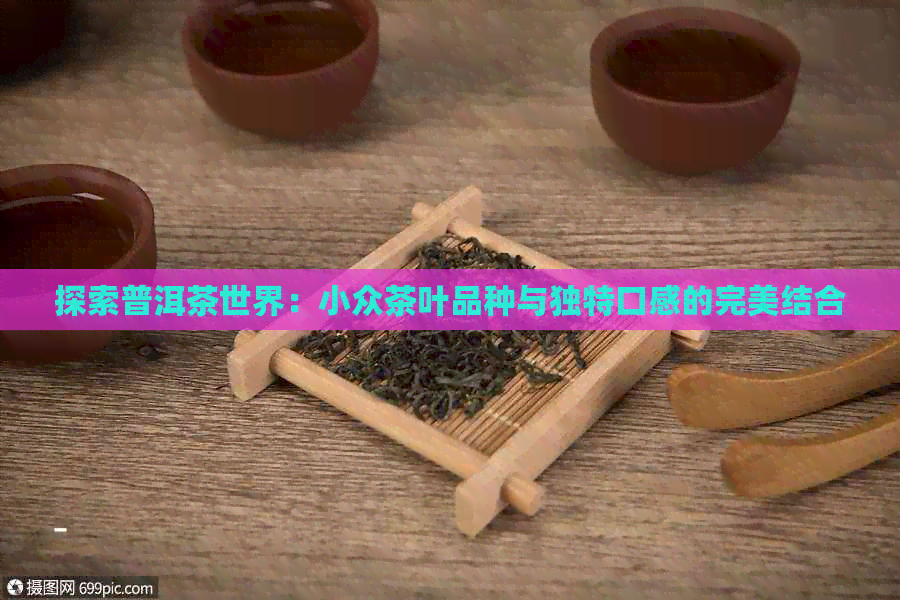 探索普洱茶世界：小众茶叶品种与独特口感的完美结合