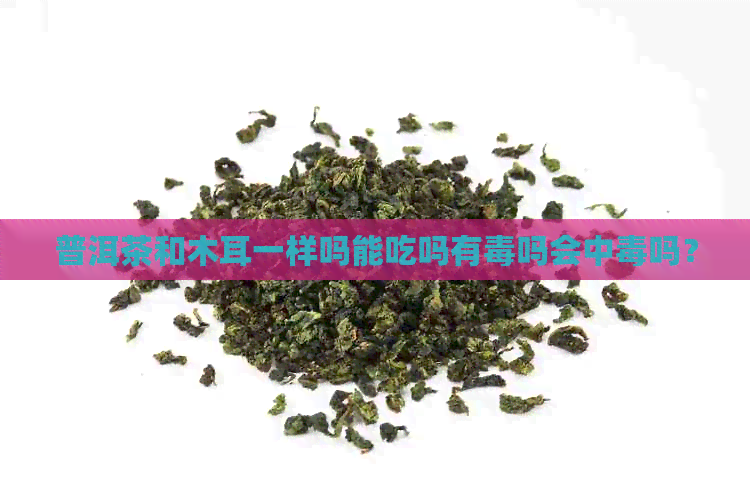 普洱茶和木耳一样吗能吃吗有吗会中吗？