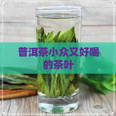 普洱茶小众又好喝的茶叶